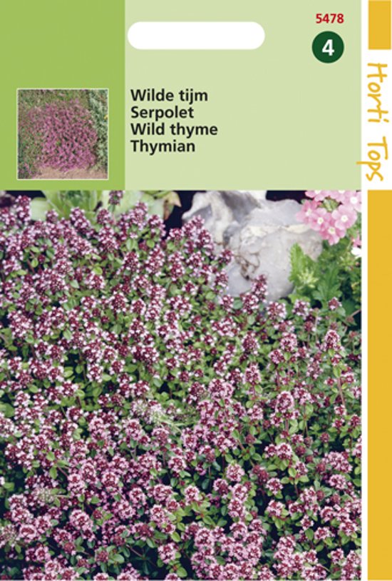 Wild thyme (Thymus serpyllum) 900 seeds